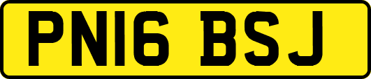 PN16BSJ