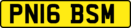 PN16BSM