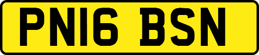 PN16BSN