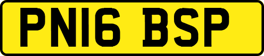 PN16BSP