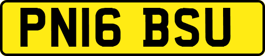 PN16BSU