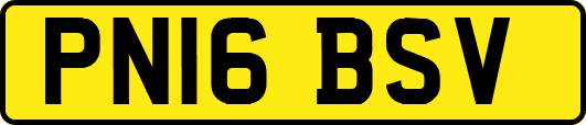 PN16BSV