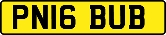 PN16BUB