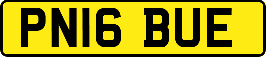 PN16BUE