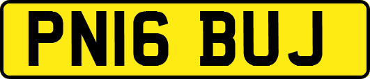 PN16BUJ