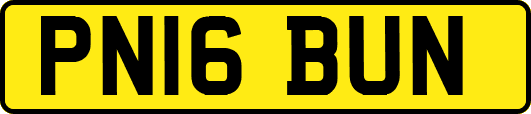 PN16BUN