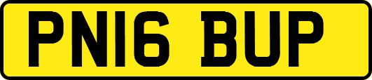 PN16BUP