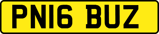 PN16BUZ