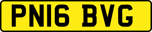 PN16BVG