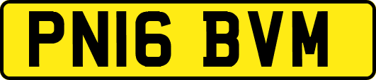 PN16BVM