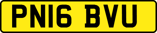 PN16BVU