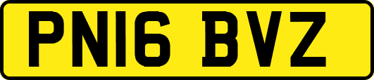 PN16BVZ