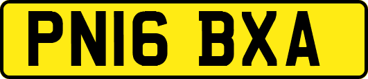 PN16BXA