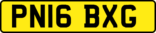 PN16BXG