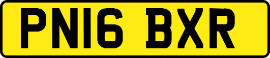 PN16BXR