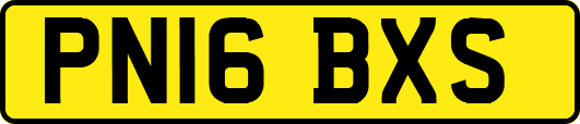 PN16BXS