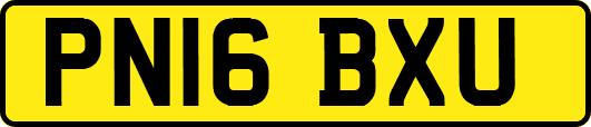 PN16BXU