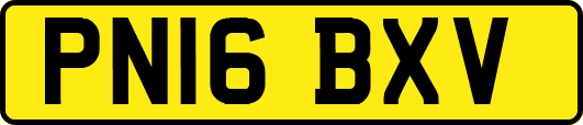 PN16BXV