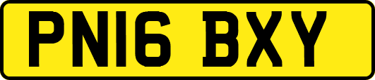 PN16BXY
