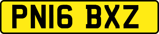 PN16BXZ
