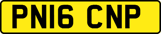 PN16CNP