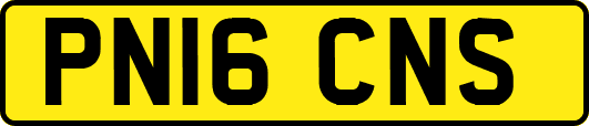 PN16CNS