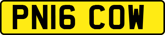 PN16COW