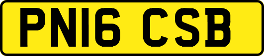 PN16CSB