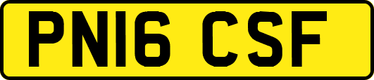 PN16CSF