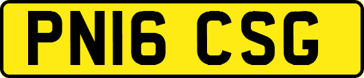 PN16CSG