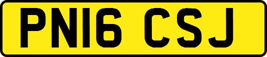 PN16CSJ