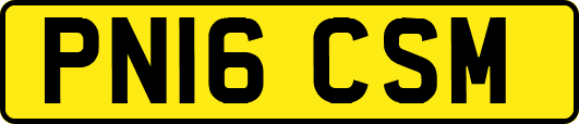 PN16CSM