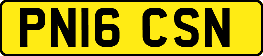 PN16CSN