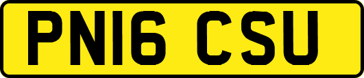 PN16CSU