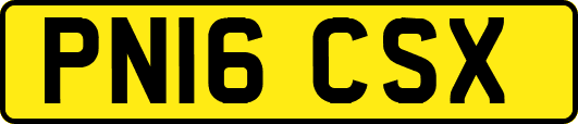 PN16CSX
