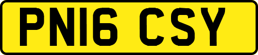 PN16CSY