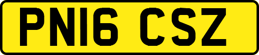 PN16CSZ