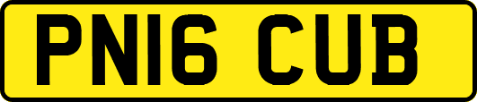 PN16CUB