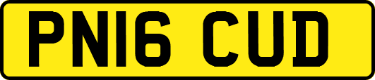 PN16CUD