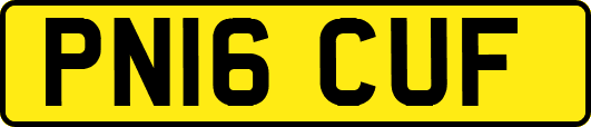 PN16CUF
