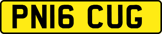PN16CUG