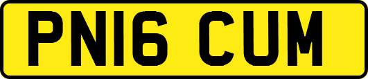PN16CUM