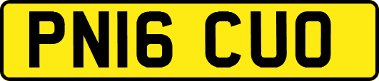 PN16CUO