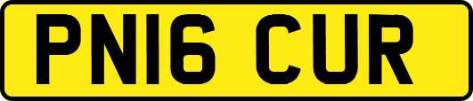 PN16CUR