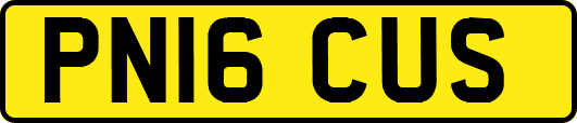 PN16CUS