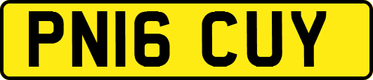 PN16CUY