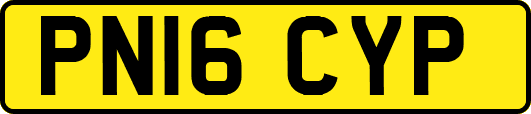 PN16CYP