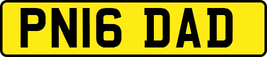 PN16DAD