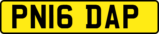 PN16DAP