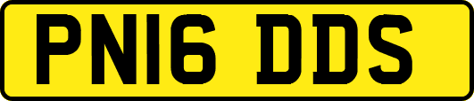 PN16DDS